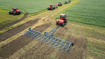 El sector agropecuario representa el