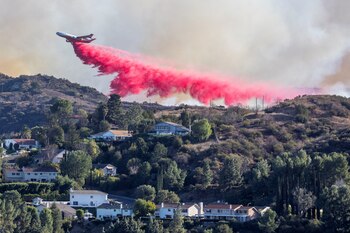 El Servicio Forestal de EE.UU.
