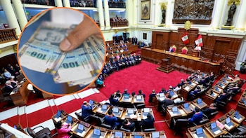 Nuevo Congreso bicameral: 12 legisladores tienen investigaciones por violencia familiar o pago de alimentos
