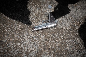 Palmira presenta un número de