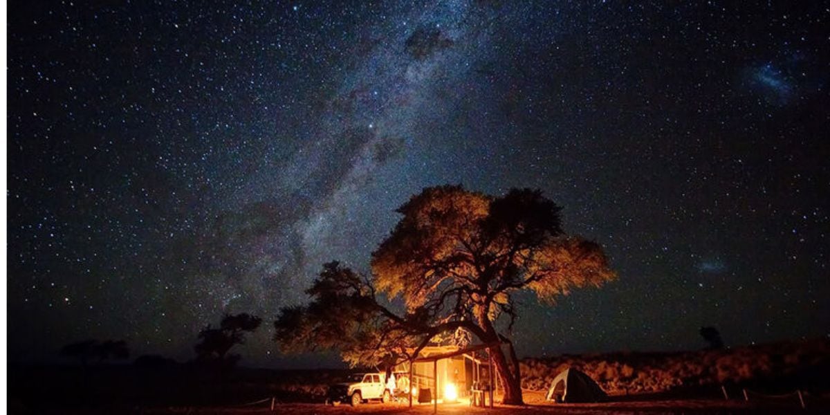 Refugios naturales y biodiversidad protegida: así son los 5 refugios que preservan el bienestar acústico y ambiental en el mundo