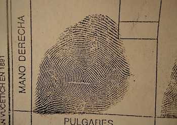 Las huellas dactilares se estudian desde la antigüedad, y fueron varios científicos que centraron sus investigaciones en ellas