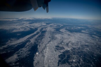 También se encuentra dentro del