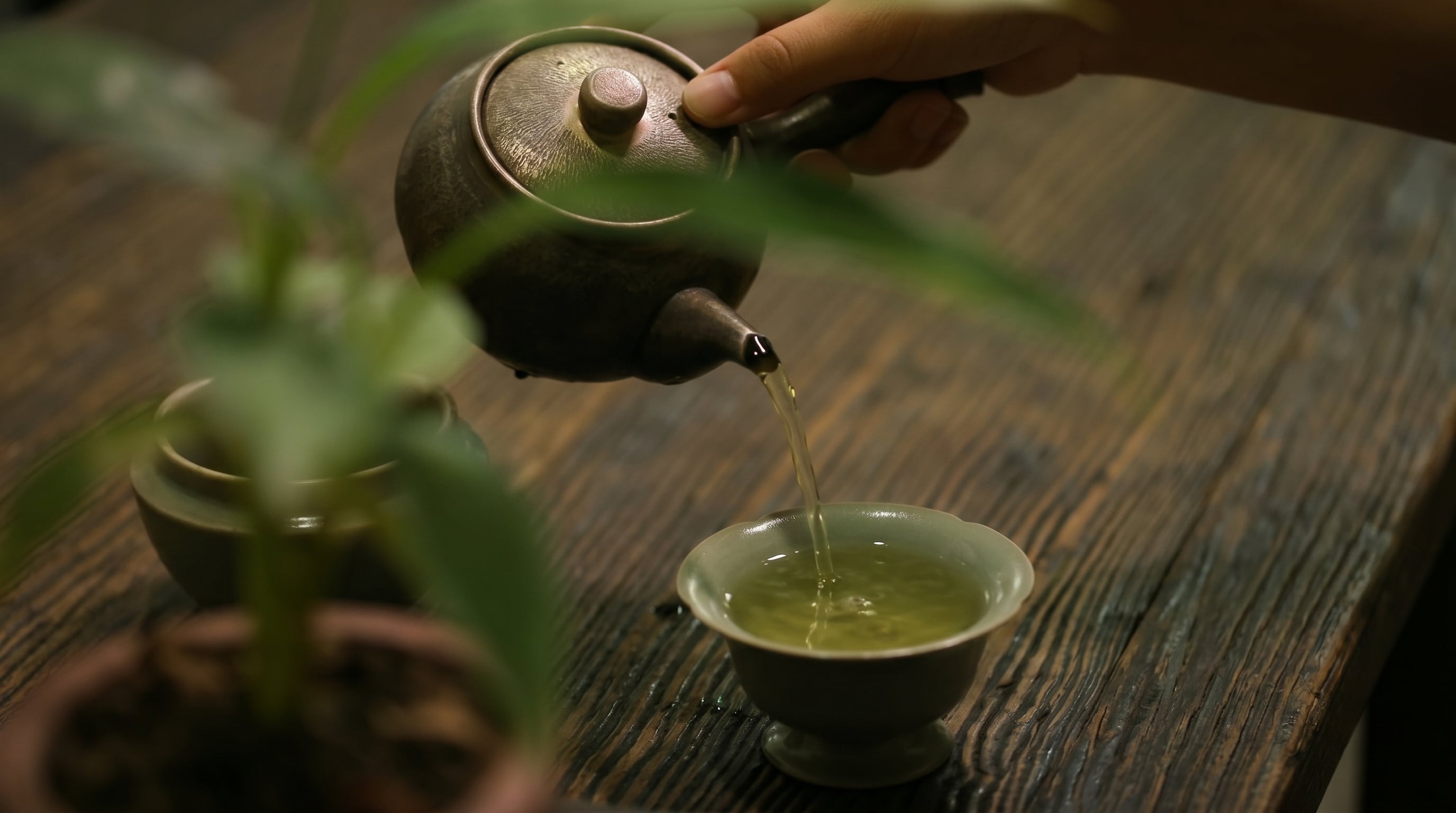 El té verde Kukicha, elaborado con ramas, ofrece antioxidantes y una teína muy baja, y se valora como opción suave para acompañar la digestión. (Imagen Ilustrativa Infobae)