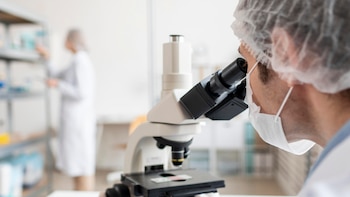 Descubren una revolucionaria terapia para el linfoma no Hodgkin que mata las células tumorales de este cáncer de sangre