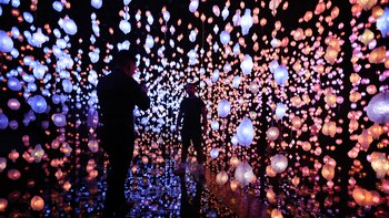 La psilocibina presente en setas