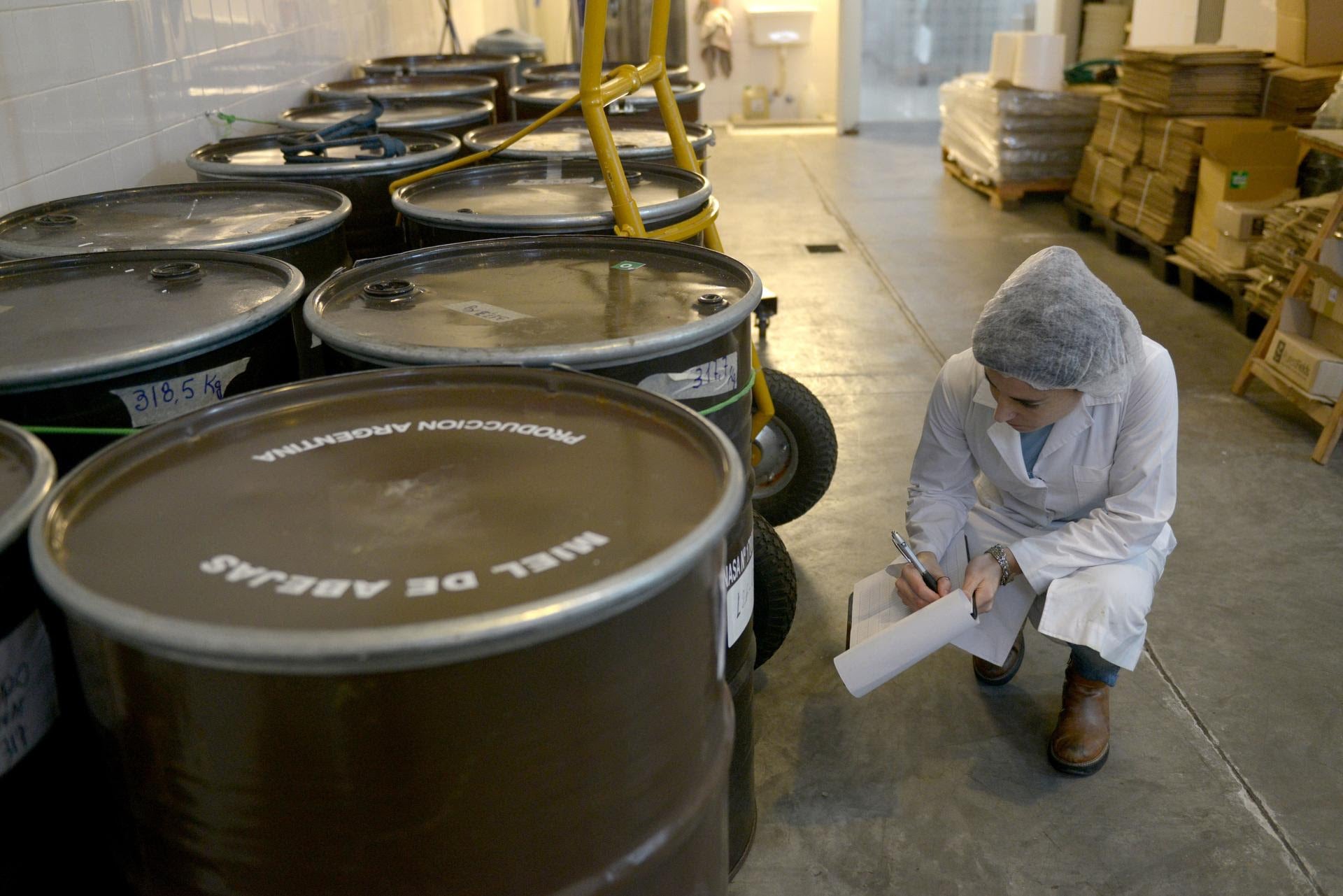 Argentina produce más de 75.000 toneladas de miel por año, extraídas en más de 1.200 salas habilitadas por el Senasa.