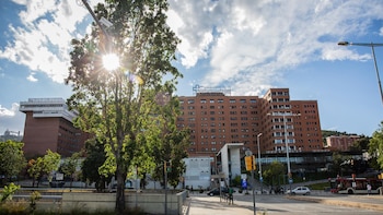 El Ministerio de Sanidad designa