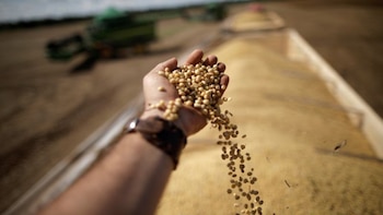 Cómo invertir en el sector