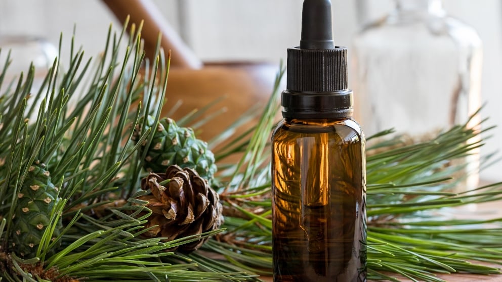 En Perú, destacan aceites nativos como aguaje, castaña, copaiba y sacha inchi, producidos bajo prácticas ecoamigables y comercio justo, ideales para la salud y cosmética.