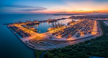 Vista aérea de una terminal portuaria con barcos portacontenedores, grúas, pilas de contenedores y vegetación arbórea en la tierra colindante.