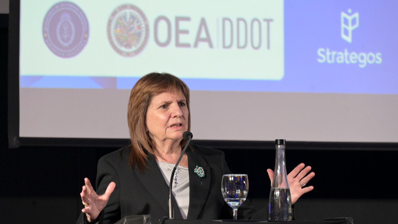 La ministra de Seguridad, Patricia Bullrich