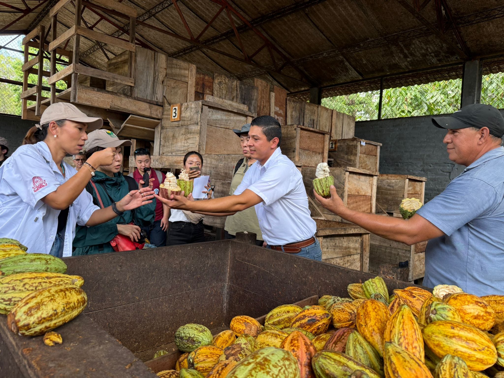 Una comitiva extranjera visitó instalaciones agrícolas y de procesamiento, promoviendo el intercambio de conocimientos y generando alianzas estratégicas orientadas a mejorar la competitividad dentro del sector agroindustrial local (Foto cortesía JICA)