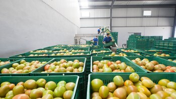 La no ratificación del T-MEC