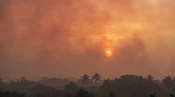 El sol brilla como un disco anaranjado entre un cielo brumoso sobre la silueta de palmeras y vegetación.