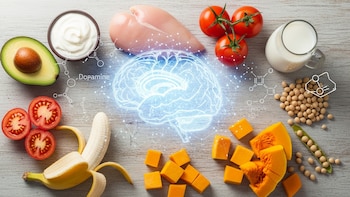 Cuáles son los alimentos recomendados