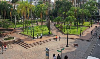 Se prohibirá la circulación de