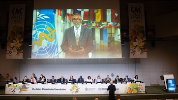 Panamá colidera un nuevo trabajo estratégico del Codex sobre nuevas fuentes de alimentos