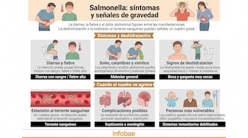 Infografía sobre Salmonella con ilustraciones de personas con síntomas, bacterias en el torrente sanguíneo y el logotipo de Infobae.