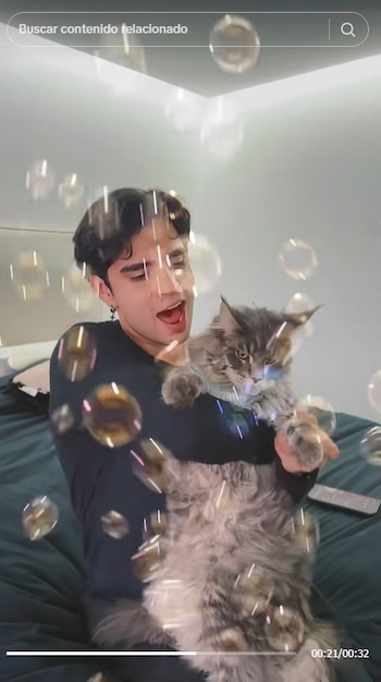 Un joven con camiseta oscura sostiene un gato gris de pelaje largo rodeado de burbujas en una habitación. Se observan barras de contenido en la parte superior e inferior
