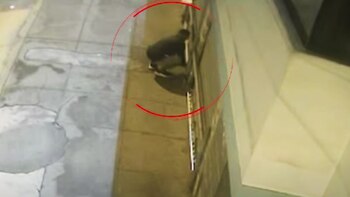 Extorsionan a miembro de las