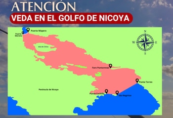 Zona delimitada del Golfo de Nicoya donde rige la veda pesquera anual, señalada en color rosado, con puntos de referencia clave como Puerto Níspero, Puerto Moreno, Faro Puntarenas, Punta Cuchillos, Isla Negritos y Punta Torres.