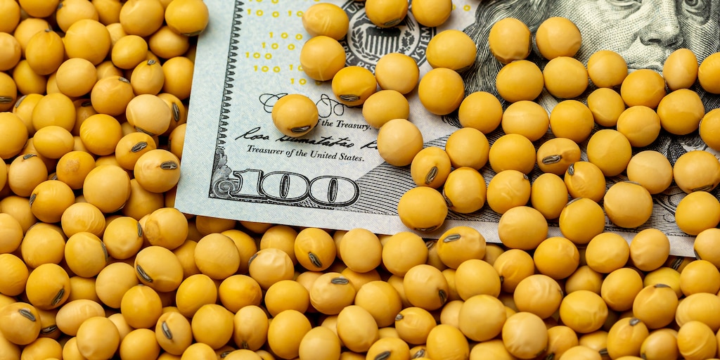 El dólar bajo y la soja en retroceso: el campo vuelve a exigir la eliminación de las retenciones