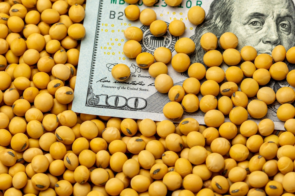 Vuelven las retenciones: cuánto poder de compra perderán los productores de soja y maíz