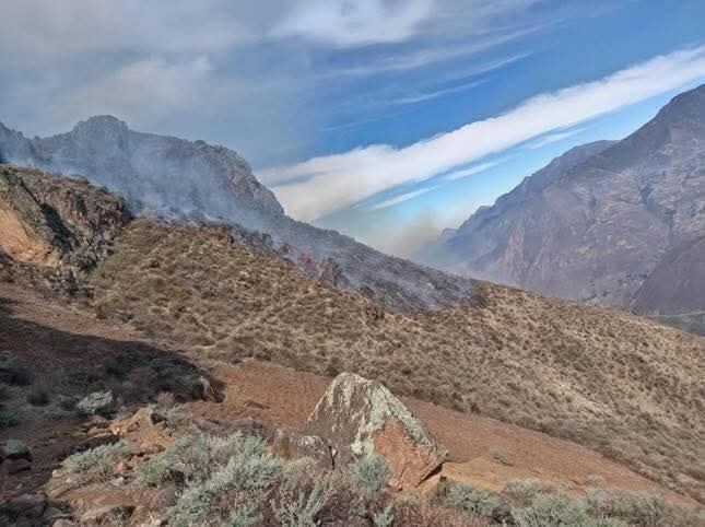 Al menos 12 hectáreas de cobertura natural destruidas, incluyendo pastizales y arbustos.