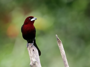 A photo provided by Nick