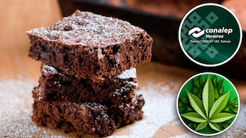 Los estudiantes fueron trasladados a