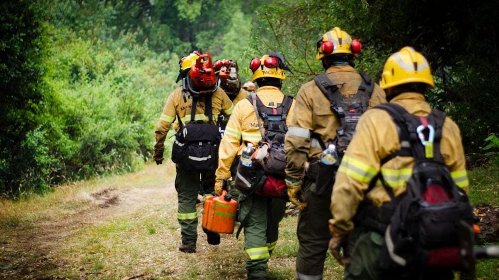 Brigadistas caminan hacia las zonas afectadas