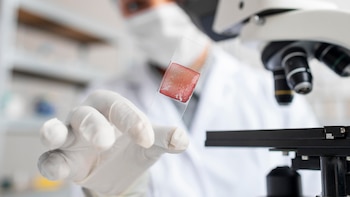 El misterio de las células del hígado, ¿un arma de doble filo?: regeneradoras de un órgano vital y posibles precursoras del cáncer