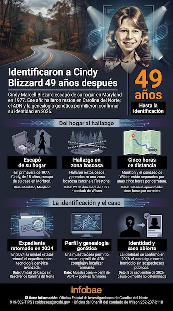 Infografía con el retrato de Cindy Blizzard, un camino boscoso e íconos que ilustran la línea de tiempo de la investigación policial.