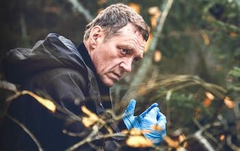 Dado que no habría una