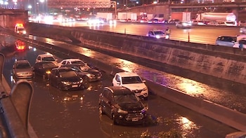 Lo que dejó el diluvio