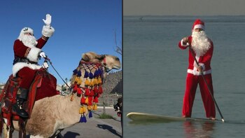 A bordo de un camello