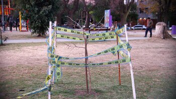 Plaza Aristóbulo del Valle en