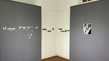 "Pasares" se podrá ver en