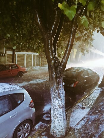 Usuarios reportaron afectaciones por la