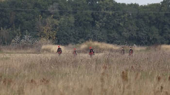 Caso Agostina Vega: rastrillan un descampado tras una pista sobre la adolescente desaparecida en Córdoba