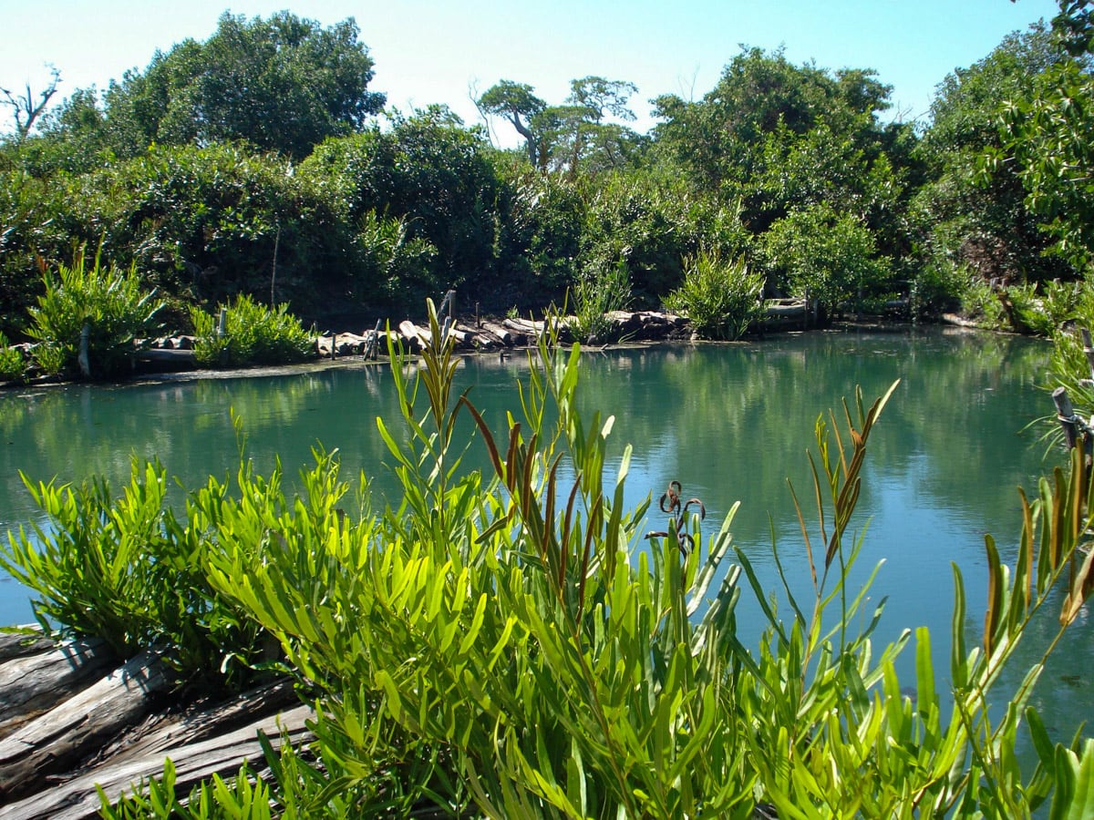 Algunas de las actividades que se pueden realizar son contemplación de paisajes,
fotografía de naturaleza y degustación de gastronomía típica. (Foto: Gobierno de México)