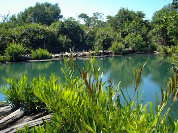 Algunas de las actividades que se pueden realizar son contemplación de paisajes,
fotografía de naturaleza y degustación de gastronomía típica. (Foto: Gobierno de México)