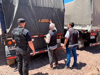 La AFIP anunció que subastarán