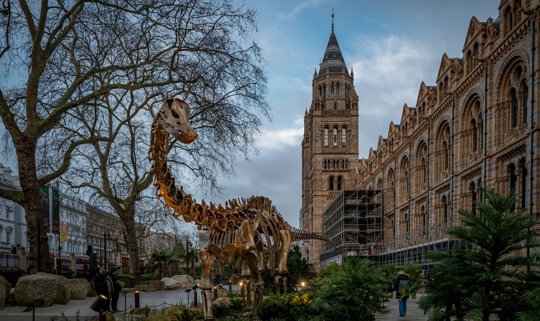 Museo de Historia Natural de Londres (Cedida).