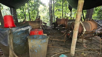 Ejército destruyó laboratorio de cocaína de las disidencias en Putumayo: se decomisaron insumos químicos y 500 kg de clorhidrato de cocaína