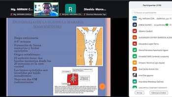 Los temas incluyen anatomía y