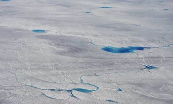 El cambio climático provoca el