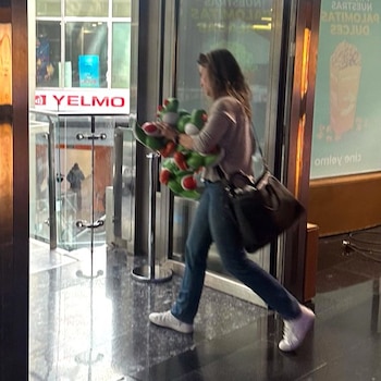 Imagen subida a redes sociales de una mujer llevando varios palomiteros de Yoshi. (X)