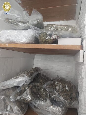 Fueron aseguradas varias bolsas de